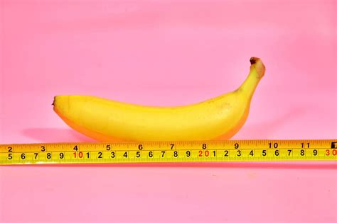 ペニス 18cm|【医師監修】男性器の平均サイズとは？